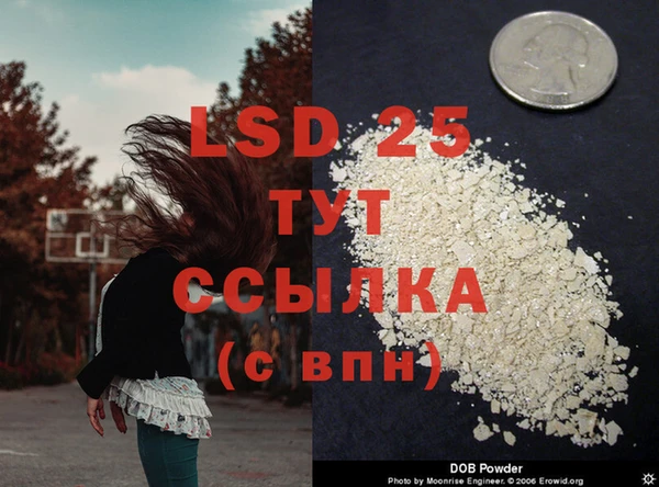прущие грибы Киреевск