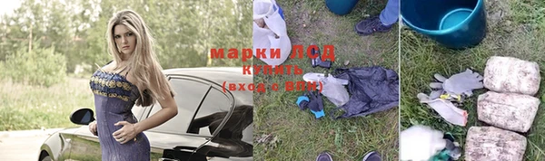 прущие грибы Киреевск