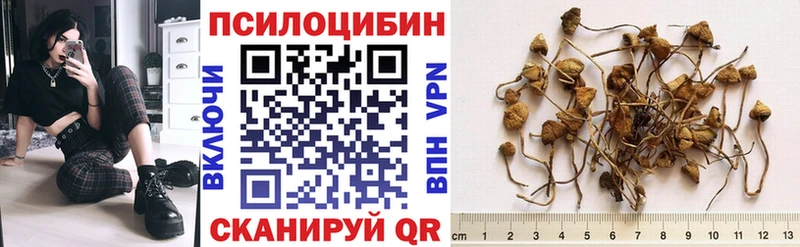 Псилоцибиновые грибы MAGIC MUSHROOMS  Купить где  Голицыно 